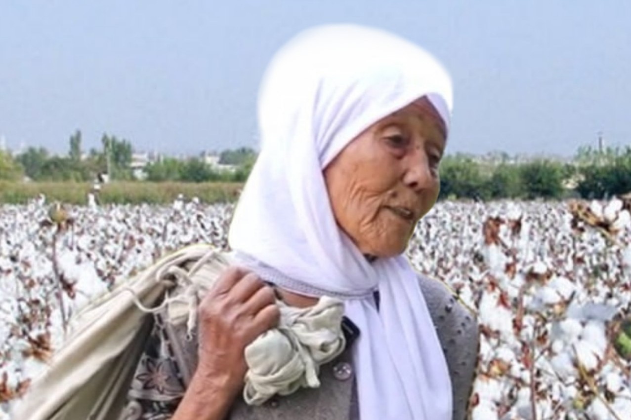 paxta terimchi onaxon